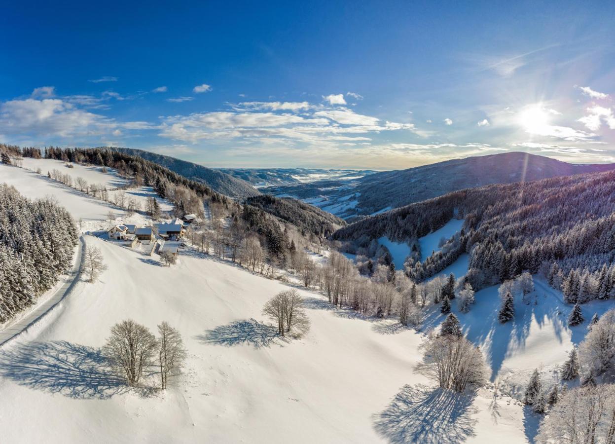 Almbauer Morgenbesser Trattenbach  ภายนอก รูปภาพ