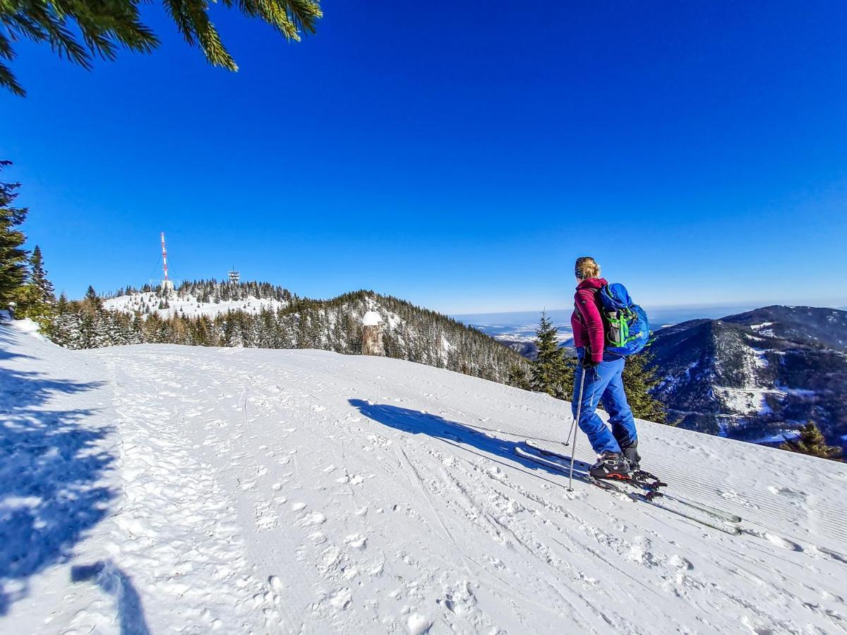 Almbauer Morgenbesser Trattenbach  ภายนอก รูปภาพ