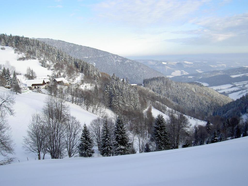 Almbauer Morgenbesser Trattenbach  ภายนอก รูปภาพ